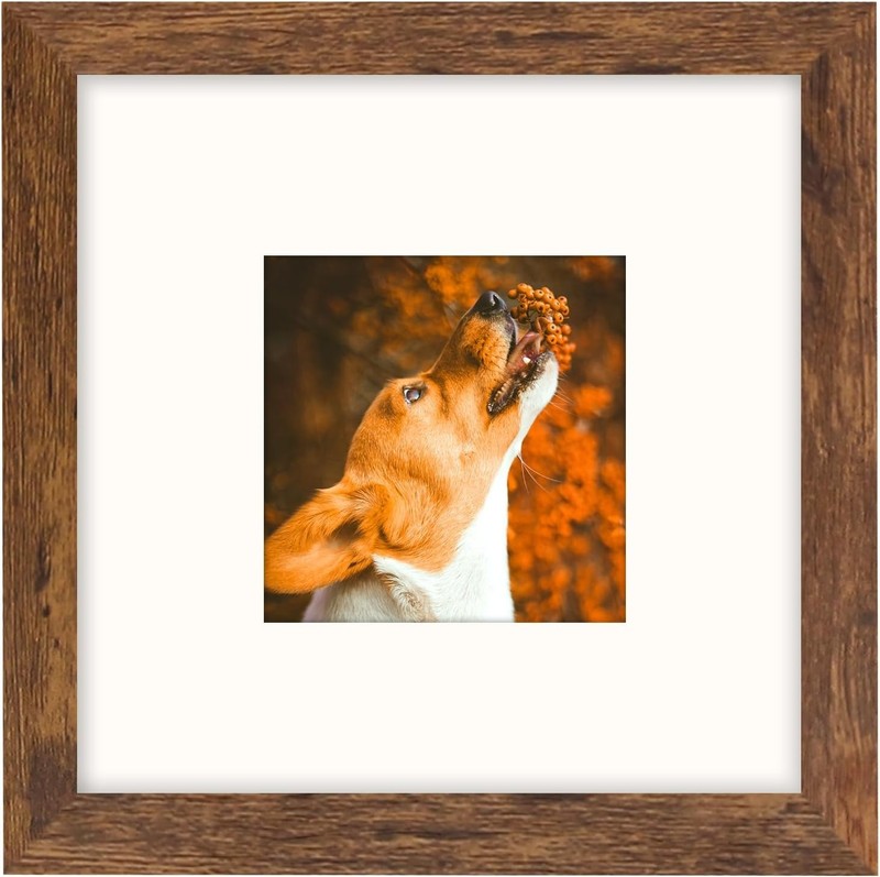 Brown 8×8 Frame with Mat for 4×4 Display, Desk Wall Square Photo Frame for Horiz