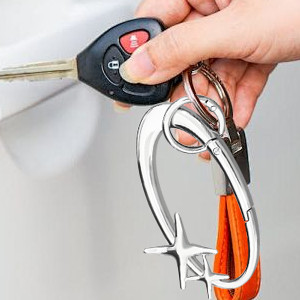 2Pcs Star Carabiner Keychain Key Ring Cool Shiny Chrome Extra-Large Alloy gallery