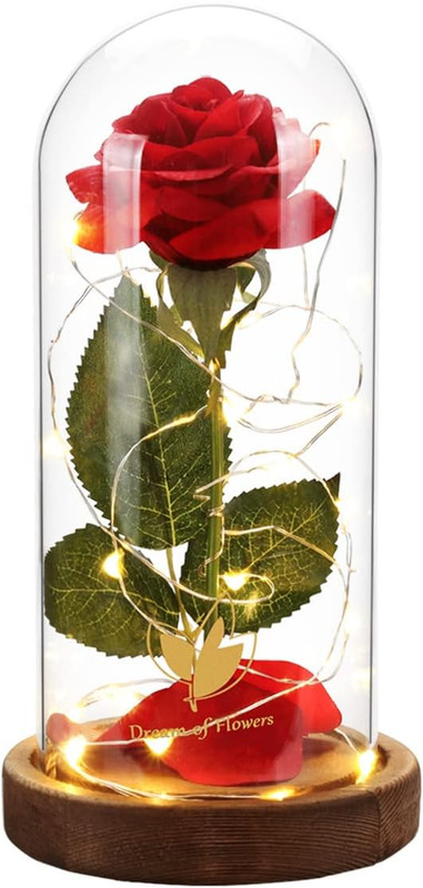 Beauty & Beast Enchanted Forever Red Rose in Glass Dome LED Light Gift For Her