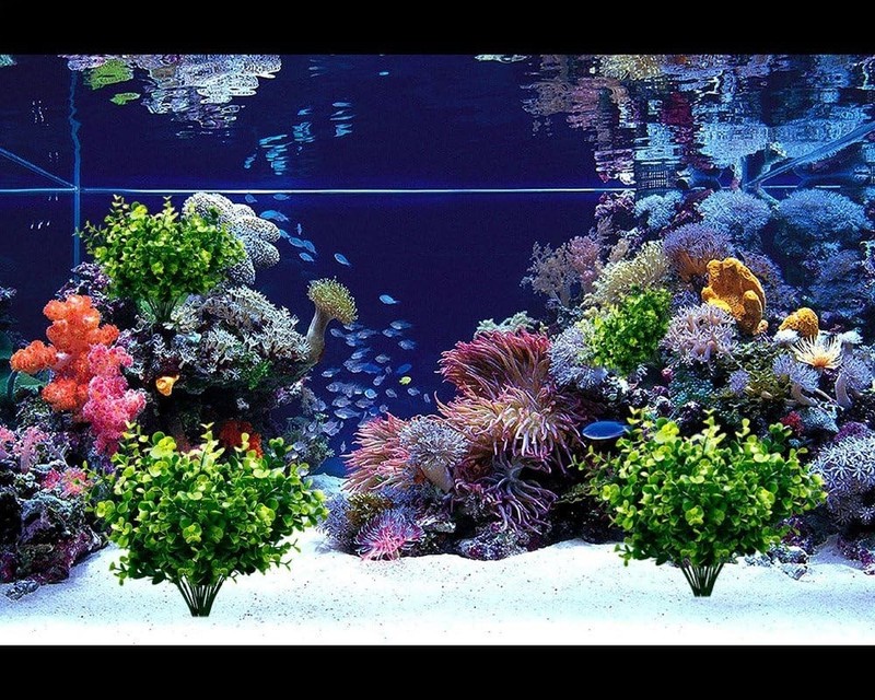Lifelike Faux Boxwood Plants 6 Count UV Resistant Greenery for Home Office gallery