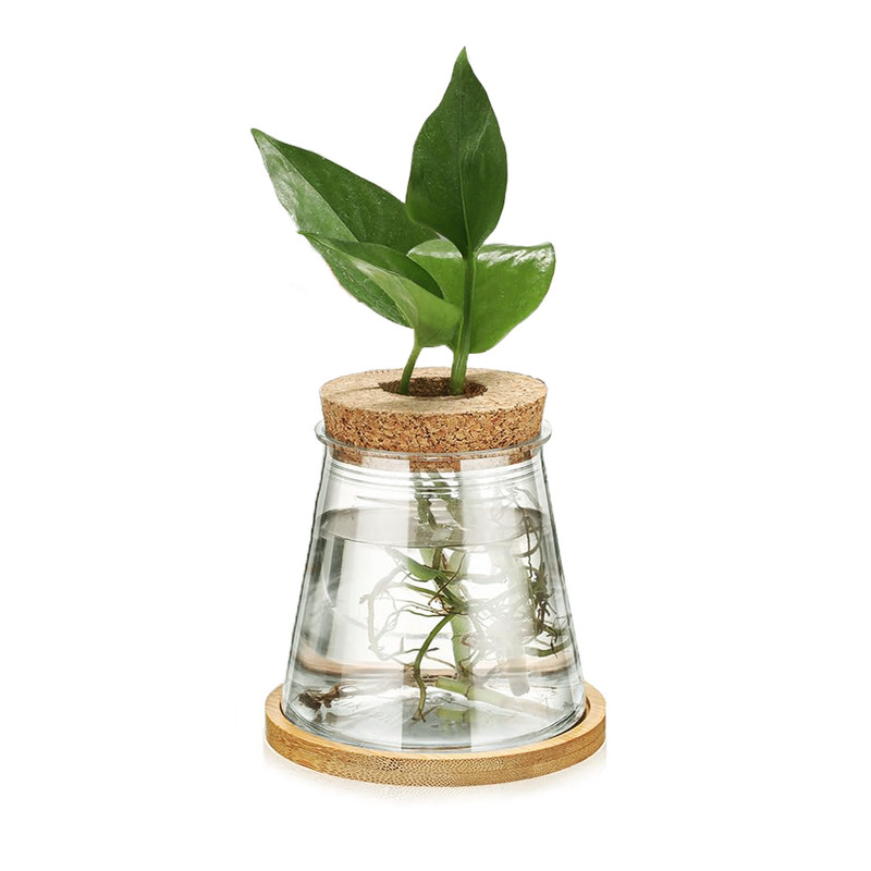 3pk Plant Propagation Vases Jars with Cork Hole Lids and Bamboo Bases