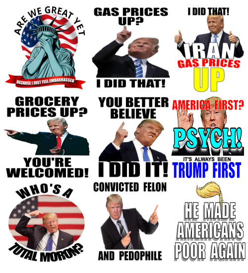 9pc Assorted Anti Trump Vinyl Stickers, Die Cut, Durable, 1.75″W x 1.75″H