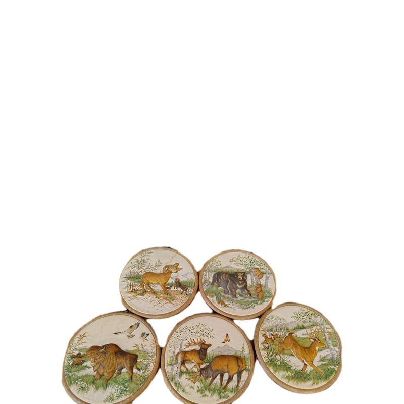 Wildlife Wall Plague Wall Art Animal Are Stuffed Wall Decor gallery
