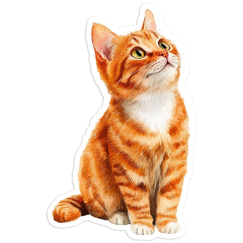 Orange Tabby Kitten Sitting – Vinyl Decal Sticker – Car Window Laptop – #43