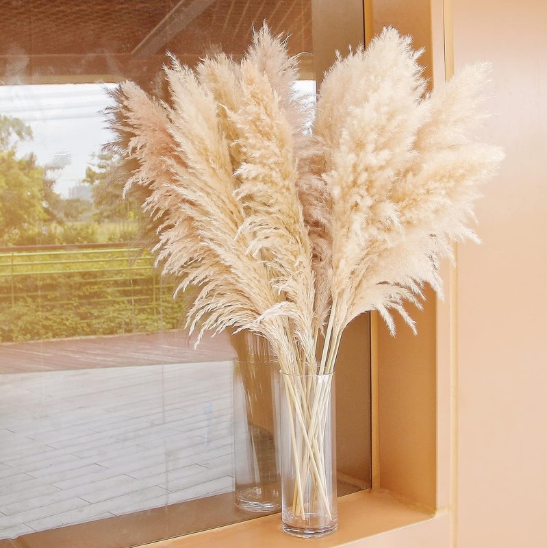 Pampas Grass Home Decor 40 Inch Tall 10 Count Elegant Dried Flower Arrangements gallery