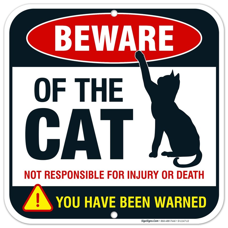 Beware of Cat Sign, Funny Attack 12×12 12×12, Reflective Metallic