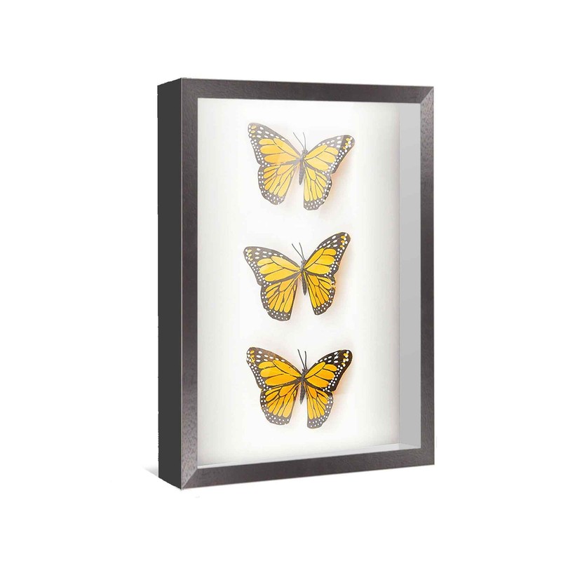 7x11 Shadow Box Frame Black | 1 Inches Deep Real Wood Farmhouse Shadowbox Displa gallery