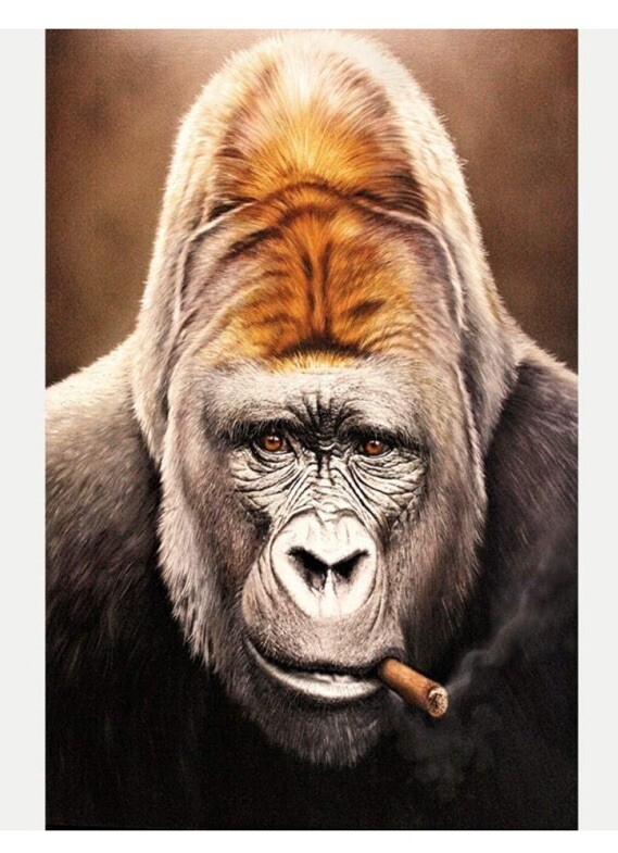 Smoking Gorilla Funny Animal Abstract 16.25×24 Canvas Wall Art Poster Picture
