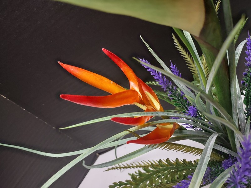 Medium Sized Tropical table centerpiece. Hawaiian floral arrangements gallery