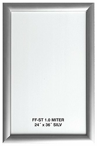 24″ x 36″ Aluminum Snap Poster Frame, 1″ Profile, Wall Mounted
