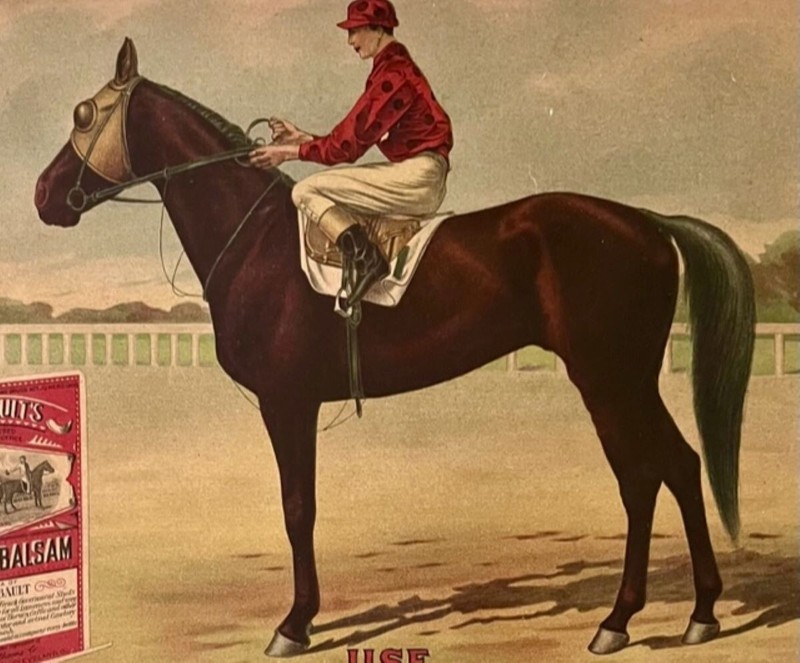Art Print, 16x20, Gombault's Caustic Balm, 1904, Delhi, American Racehorse gallery