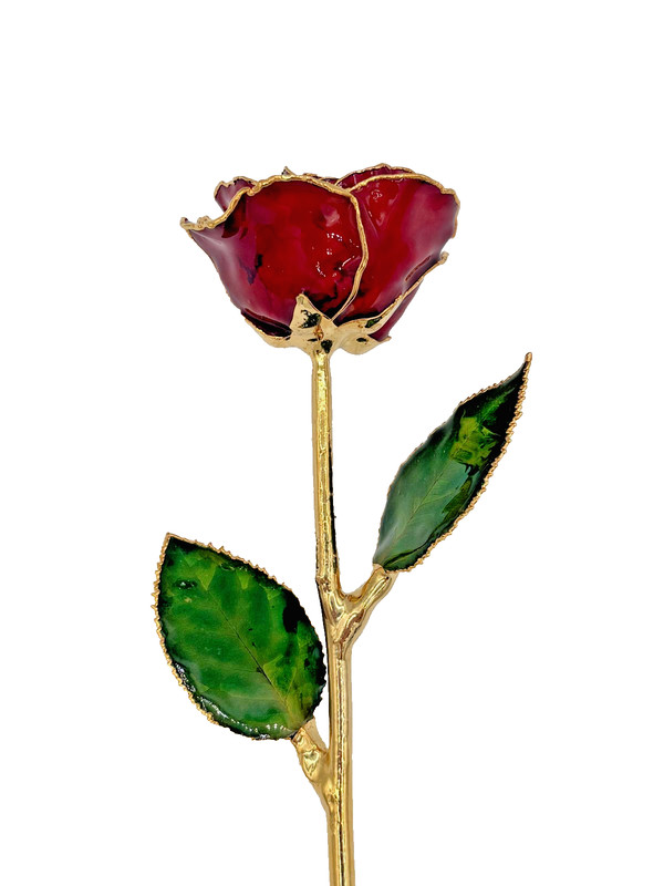 24k Gold Dipped Burgundy Rose Forever Flower Long Stem 10.5" gallery