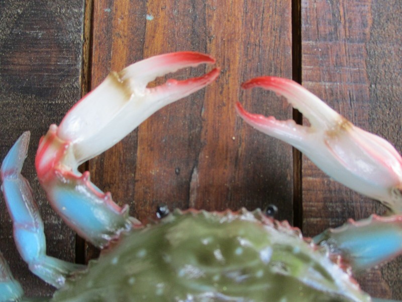 Blue Crab Maryland Hand Painted 6" Replica Wall Sculpture Beach Decor set 2 gallery