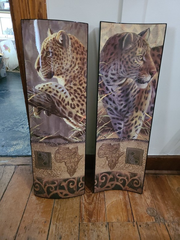 Big Cats Safari Cheetah Lion Africa Large Pair Plastic Concave Canvas 34.25″x11″