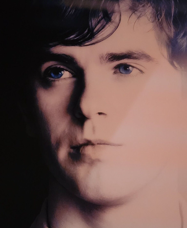 ABC ~ The Good Doctor 27x40 Poster ~ Freddie Highmore gallery