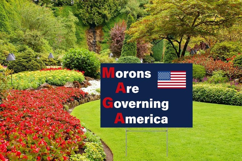 Anti Trump Yard Signs Political Protest Anti Maga W/ Stake Morons Are Governing gallery