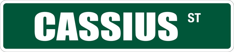 *Aluminum* Cassius 4″ x 18″ Metal Novelty Street Sign SS 813