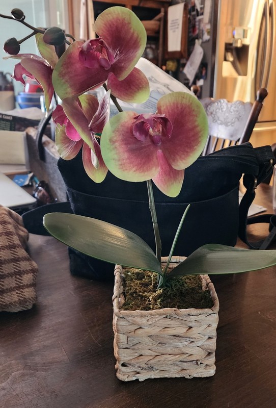 Artificial Orchid Flower Arrangement Pink Green Silk Plastic in Woven Pot