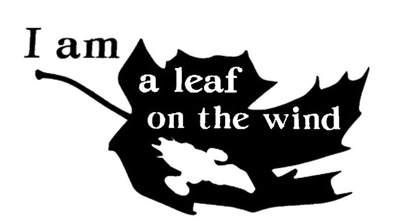 Vinyl Decal Sticker Car Truck Window – Firefly Serenity I Am A Leaf On The Wind