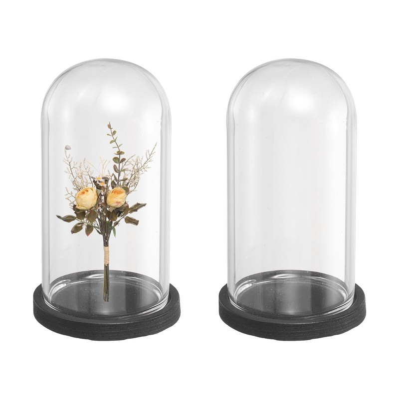 2Pcs Glass Display Dome, 1.4″ x 2.5″ Cloche Glass Dome with Wooden Base, Black
