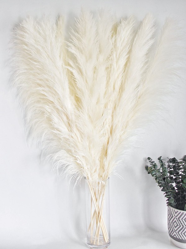 10 Stems 46" inch White Pampas Grass Decor Tall, Large Pompas Grass, Boho gallery