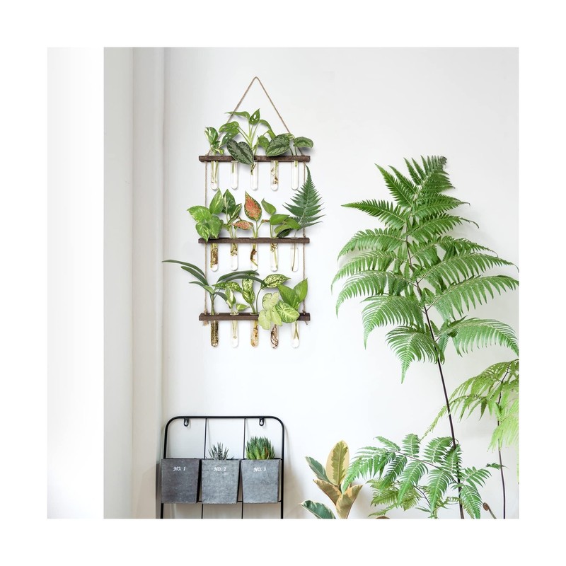 Mkono Plant Propagation Tubes, 3 Tiered Wall Hanging Terrarium ... FAST USA SHIP gallery