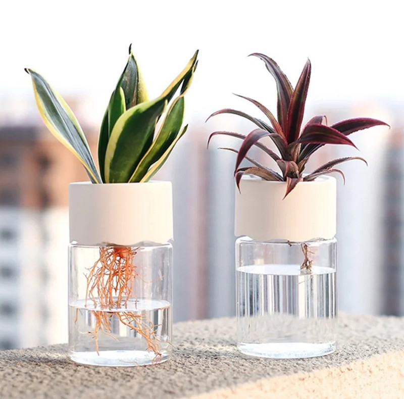 2pc Mini Transparent Hydroponic Plant Pot – Home Vase Decor Flower Planter – NEW