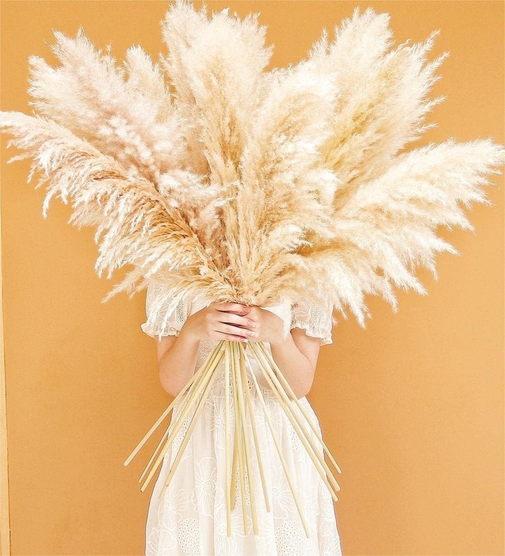 Pampas Grass Home Decor 40 Inch Tall 10 Count Elegant Dried Flower Arrangements gallery