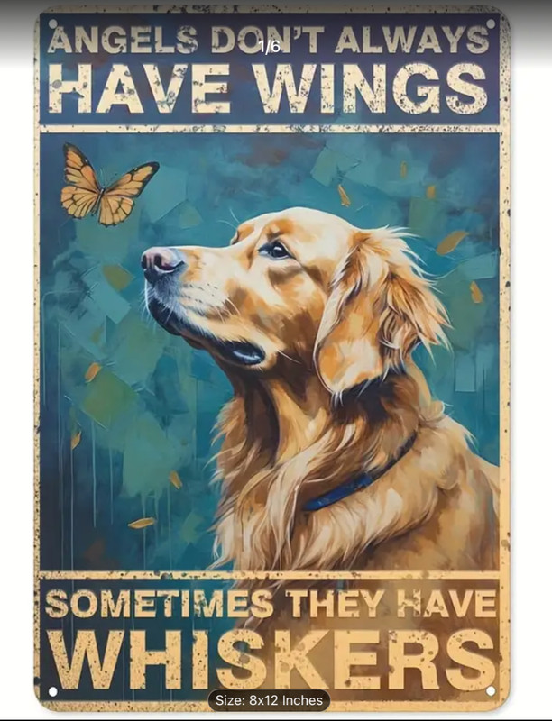 ANGELS DON’T ALWAYS HAVE WINGS SOMETIMES WHISKERS Golden Lab Metal Sign 8 x 12