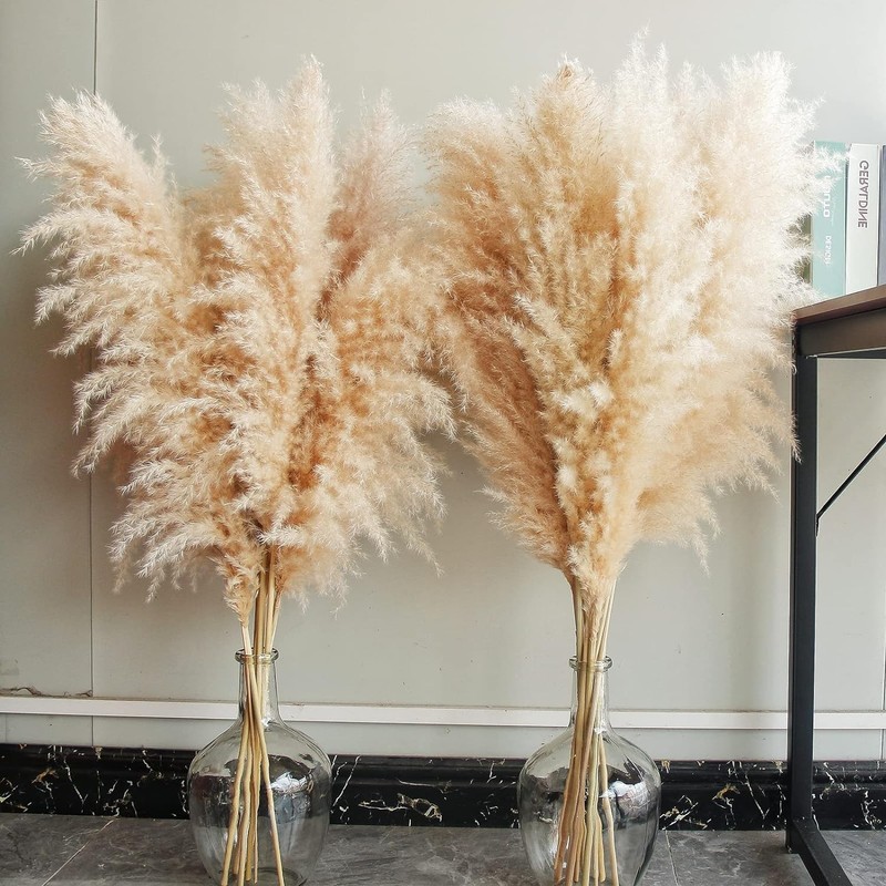 Pampas Grass Home Decor 40 Inch Tall 10 Count Elegant Dried Flower Arrangements gallery