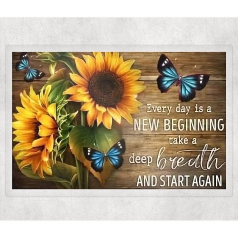 Butterfly Inspirational Laminated Print Unframed Poem Picture 8.5×11 Gifts