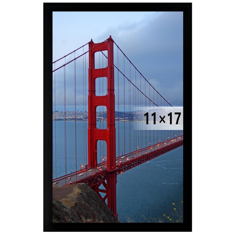11 x 17 Inch Wall Hanging Picture Frame, Black, 1 Pack