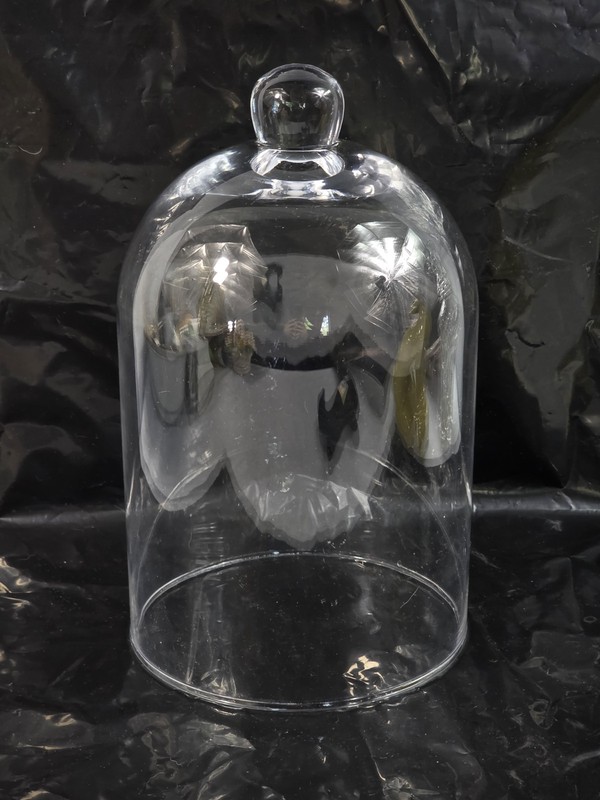 Cloche Bell Jar Glass Dome Knob Handle Food/Figurine Display Plant Protection H