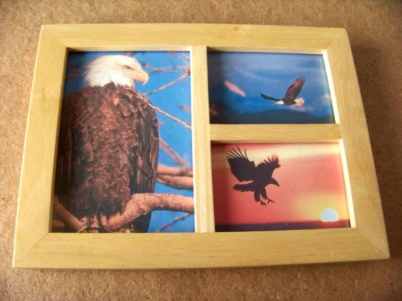 Bald Eagles partitioned wood glass picture frame, wall or tabletop c44188