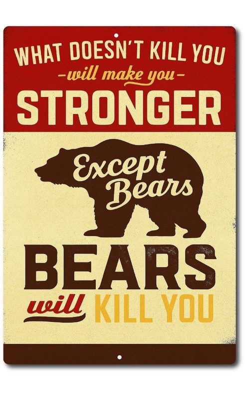 Bear Warning Sign BanginPrints Rustic Metal Tin Wall Decor Cabin Camp