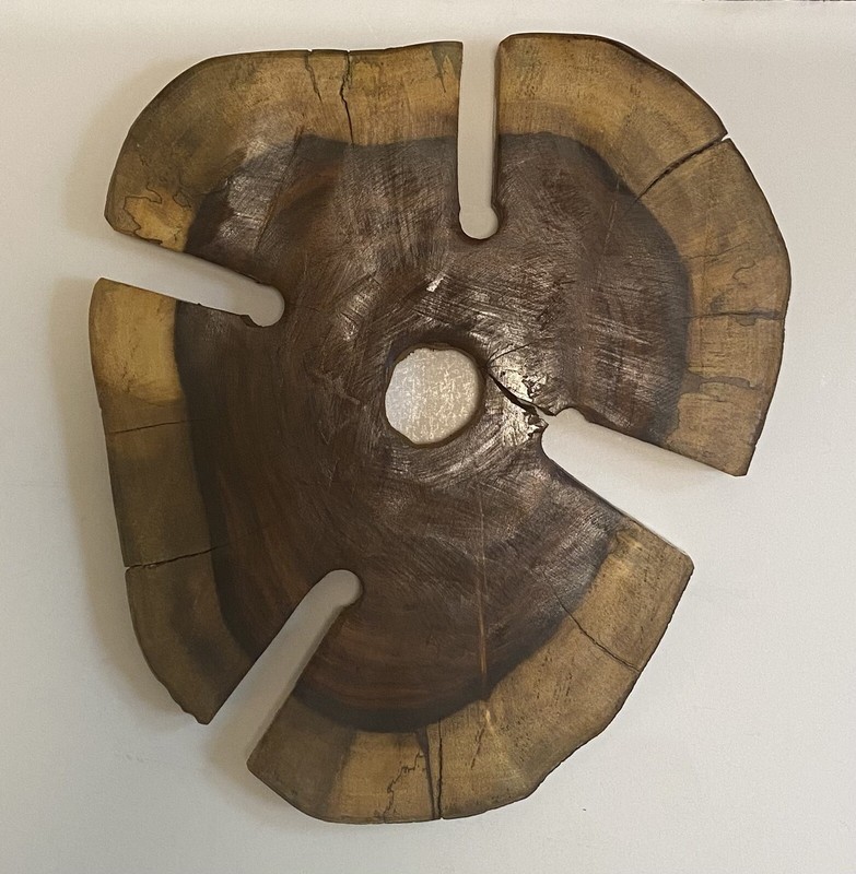 Live Edge Wood Slice Sculpture Home Decor Art Piece