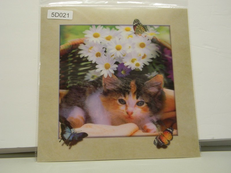 Cat Kitten 3D lenticular holographic picture #5D021 15 1/2″ x 15 1/2″