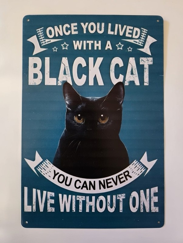 Black Cat Metal Sign 8x12 Once You Lived With A Black Cat You Can Never Live Wit gallery
