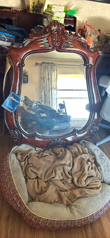 Ashley Ornate Carved Wood Framed Accent Mirror, Brown Bronze, Vertical