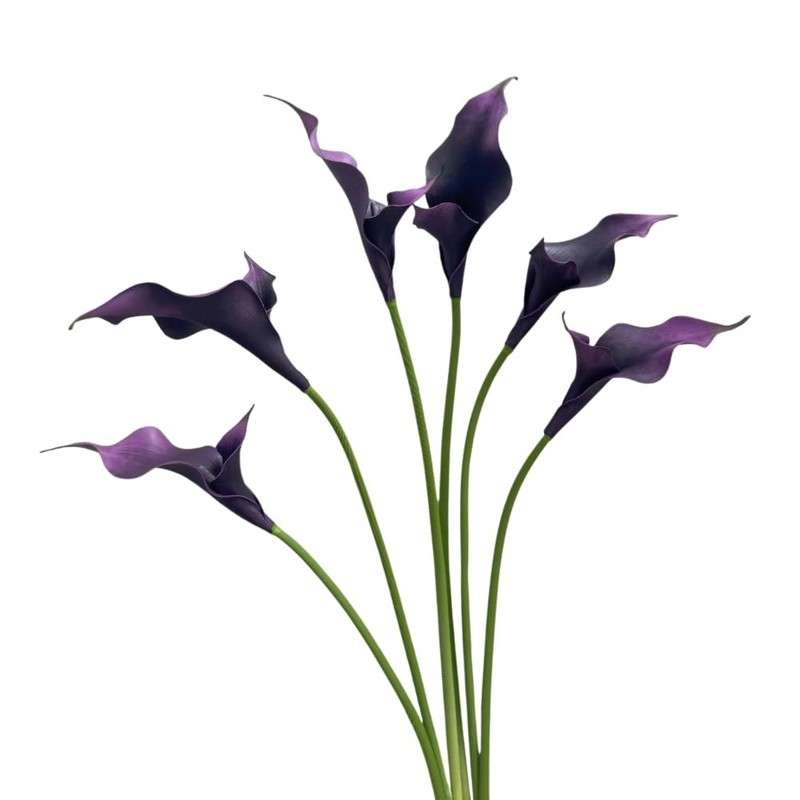 6 Pieces Calla Lily Artificial Flowers,Real Touch Latex Flowers,Long Stem Art…
