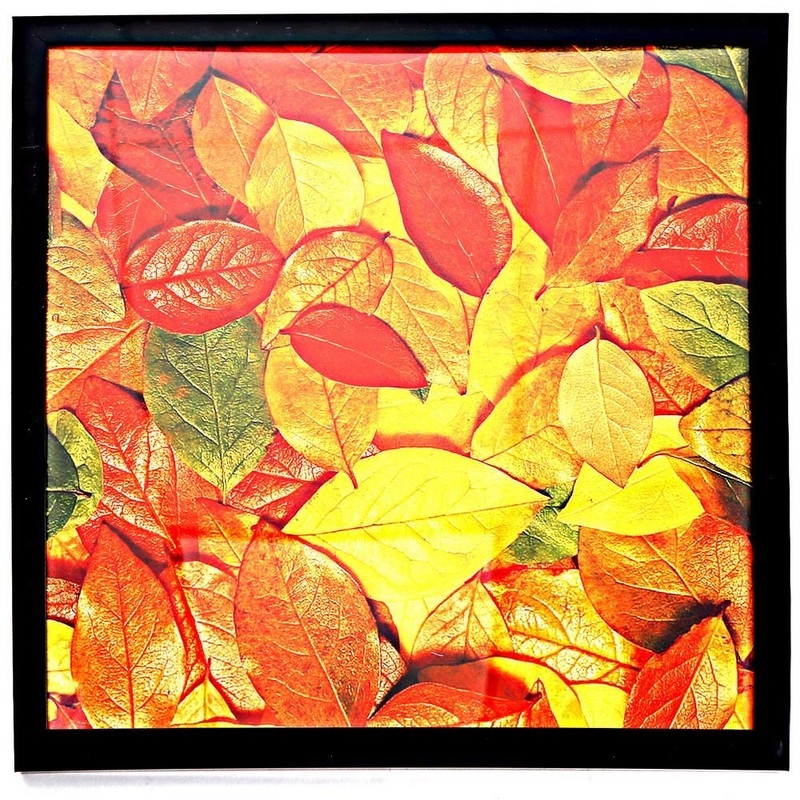 Medog 13×13 Picture Frame for Wall, Display Pictures 13×13, 1P Black