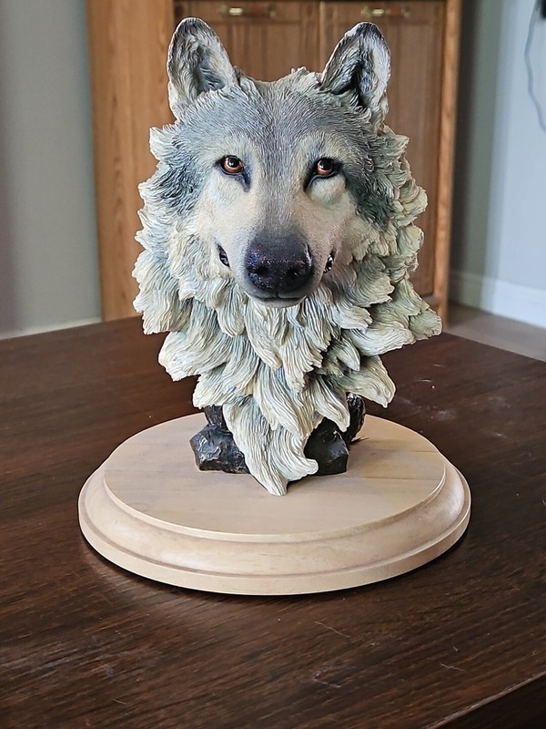 SIMPKINS WILDLIFE & GIFTS UTAH ~ REALISTIC WOLF BUST 8” ~ 3 LBS 7 OUNCES QUALITY