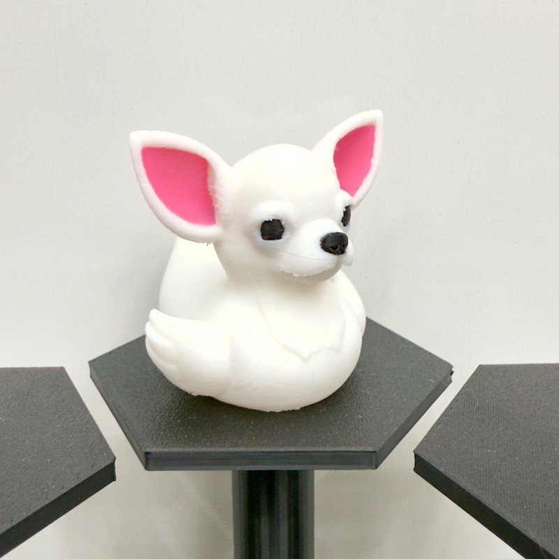 Chihuahua Duck | White Black Tan Brown Mix | Jeep Duck | Cruise Décor | 3D Print
