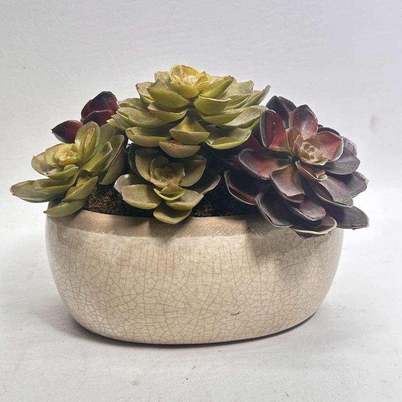 Faux Succulent Plants In Hammered Metal Container 5 In X 6 Inch Looks Real