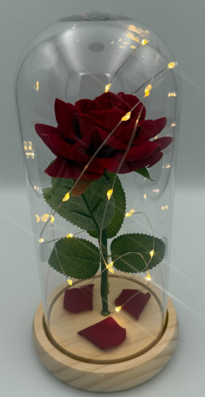 Dependable Industries Red Rose In Glass Dome LED Light Up Gift