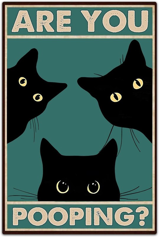 Black Cat Are You Pooping Funny Tin Signs Bathroom Wall Decor 8 x 12 Inch... 