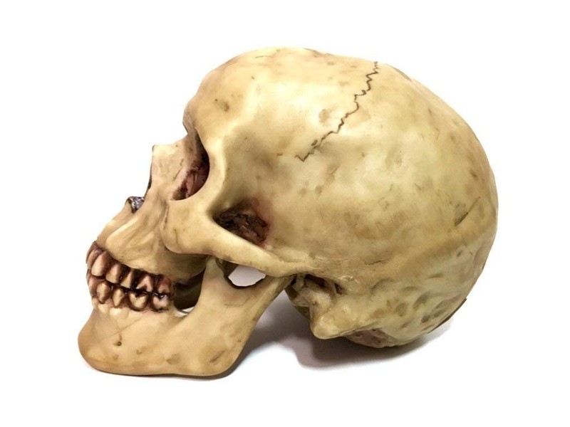 Realistic Human Skull Statue Polyresin Halloween Gothic Table Home Decor gallery