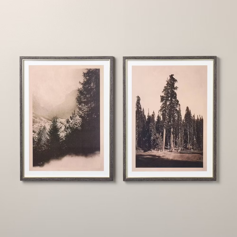 2pc 18″x24″ Vertical Vintage Tree Wall Art Set – Hearth & Hand