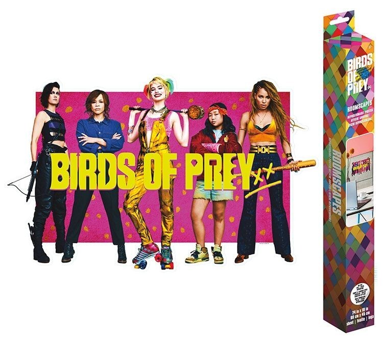 Birds of Prey Superhero Characters RoomScapes Wall Decal 18 X 24″ Removeable