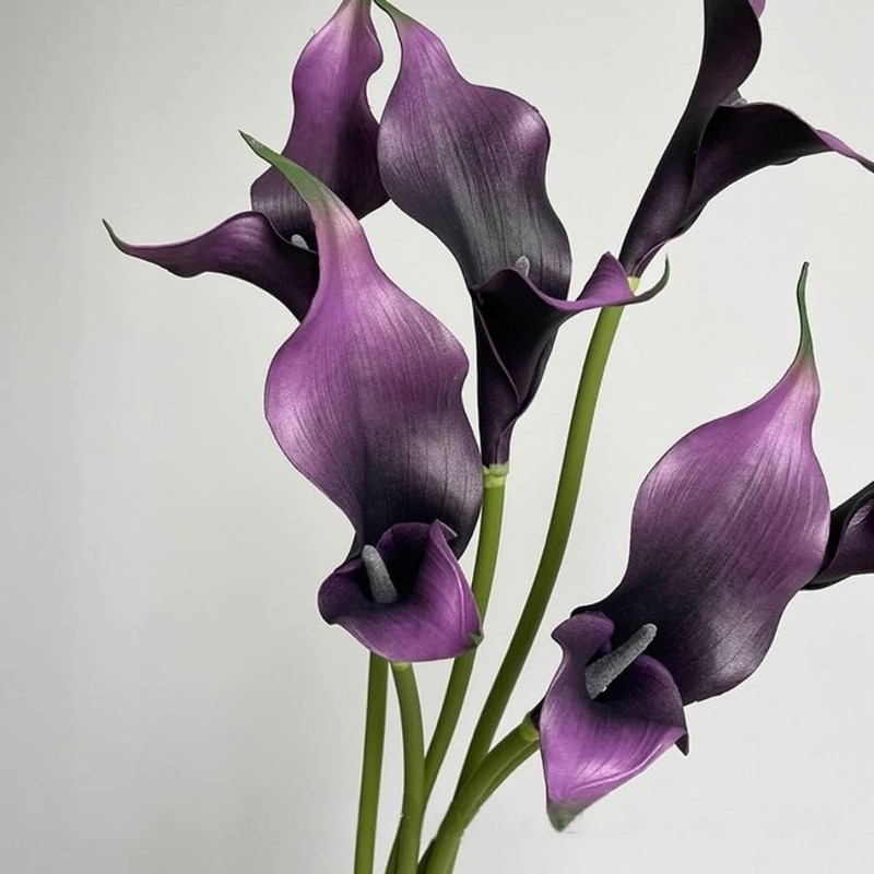 6 Pieces Calla Lily Artificial Flowers,Real Touch Latex Flowers,Long Stem Art... gallery